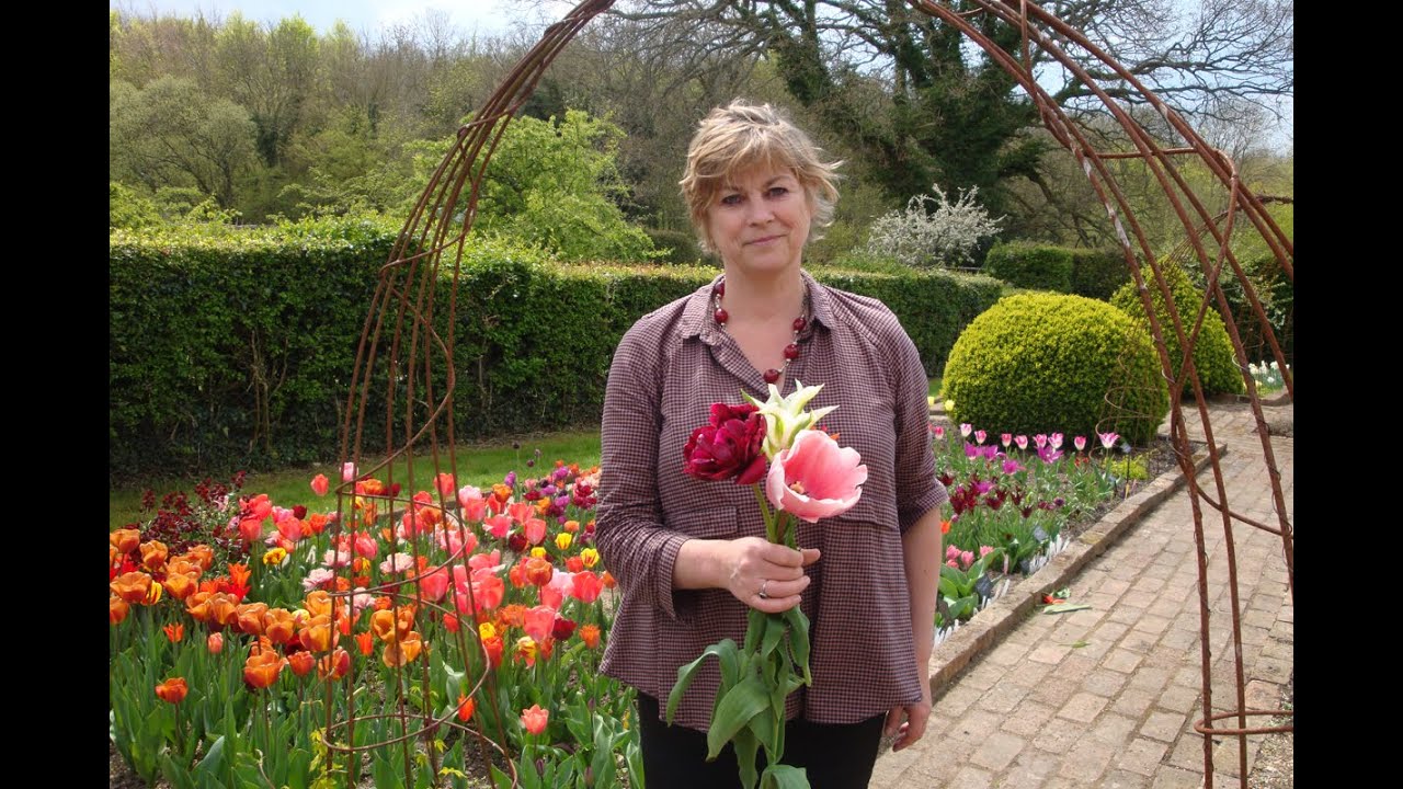 A guide through the tulip trial beds at Perch Hill