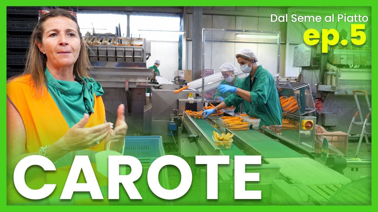 UNA FABBRICA DI CAROTE- Italia Nutrizione e Mazzoni Group
