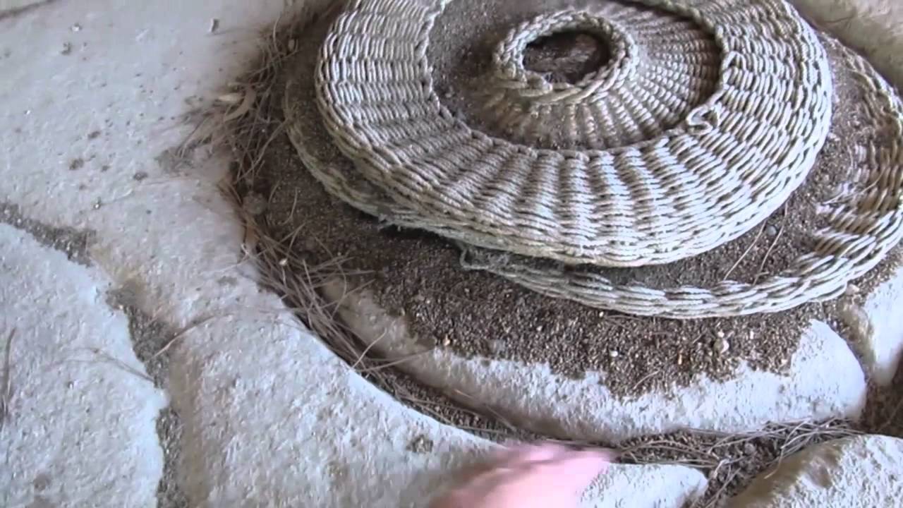 Olive Press in Cyprus