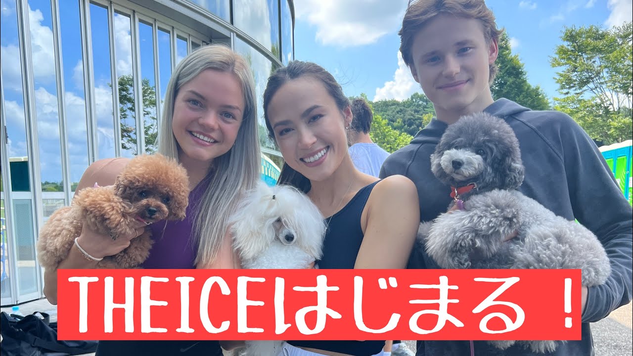 【真夏のモフモフ会‼️】#uno1ワンチャンネル #宇野昌磨 #宇野樹 #いぬとの暮らし #トイプードル生活 #theice