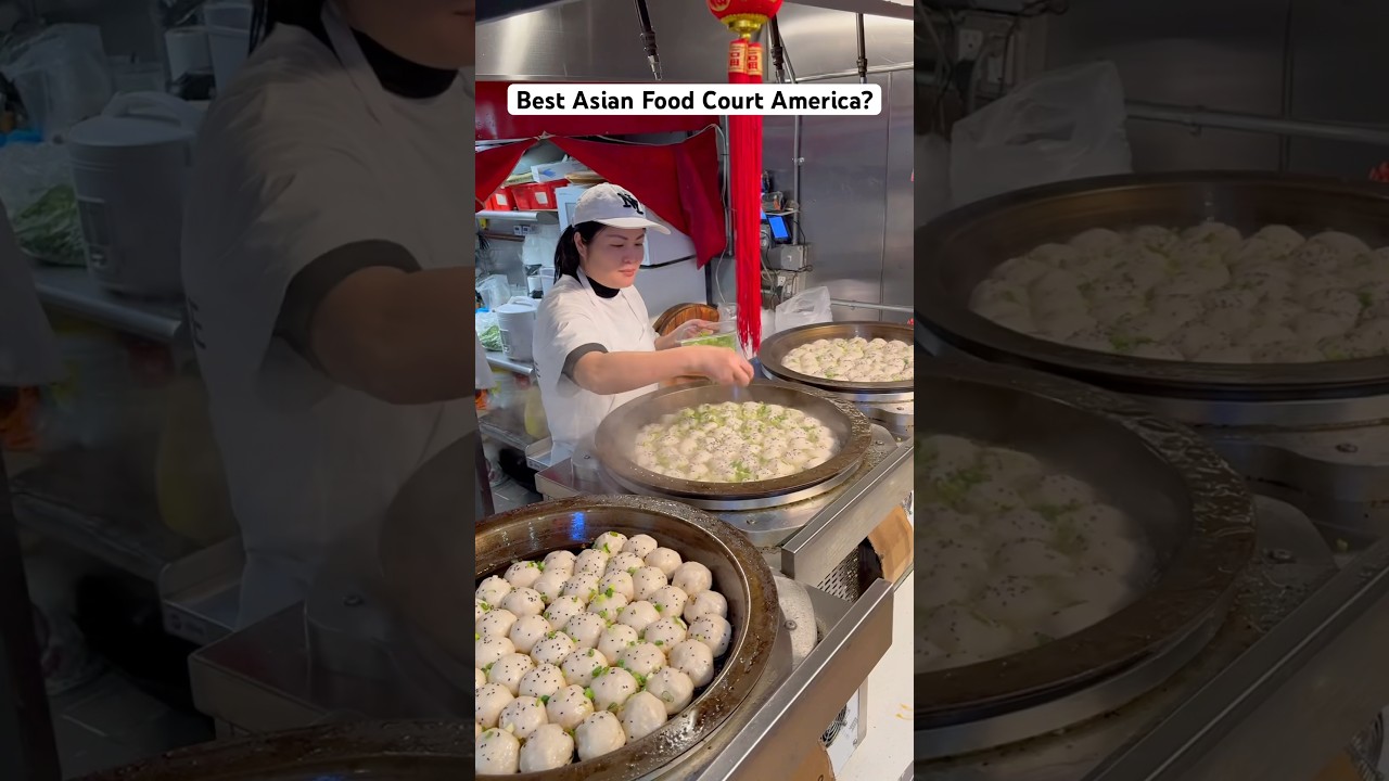Trying one of the best Asian food courts in the entire country! 📍New World Mall, NYC #asianfood