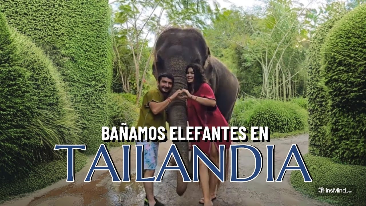 Lo que nadie te dice de bañar elefantes en tailandia 
