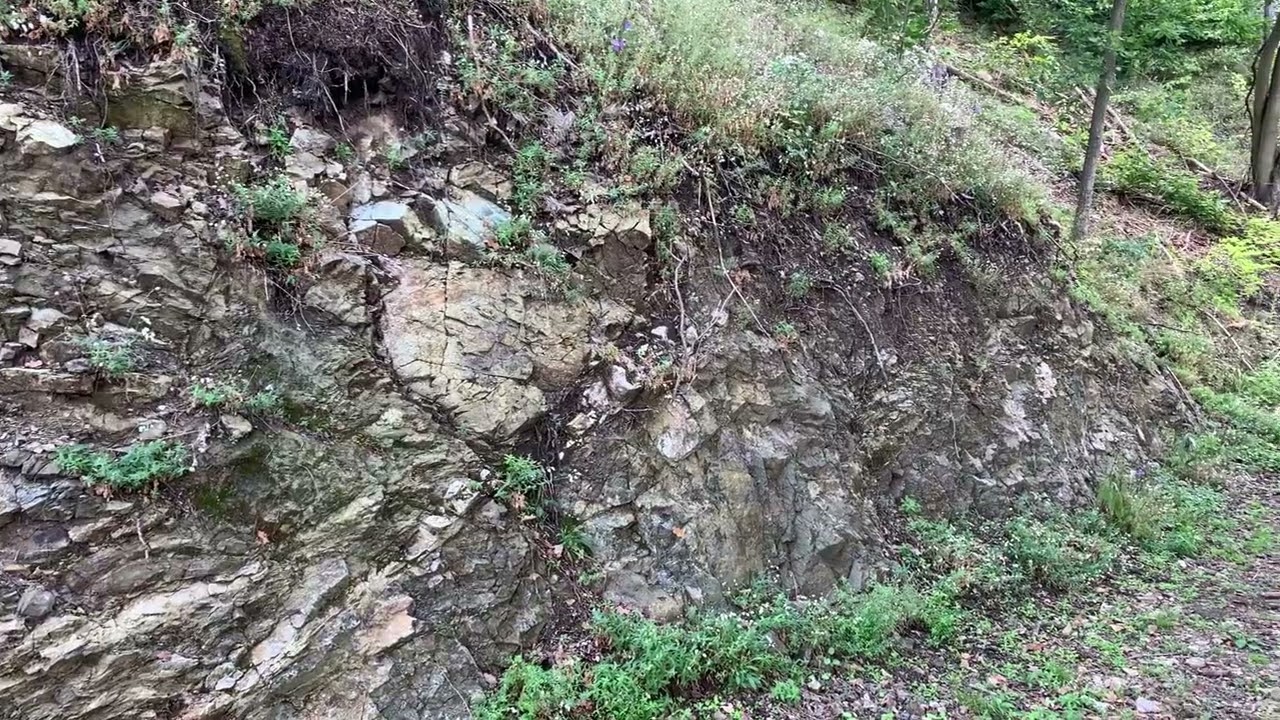 Steinegg am Kamp.  Forstwegaufschlüsse.  Pyropgranat