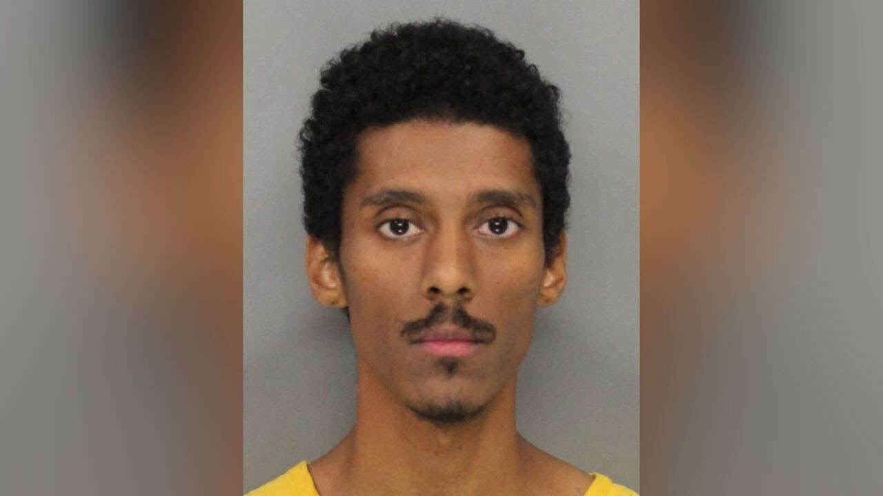 Cobb County woman stabbed 12 times in back and eyes, roommate charged