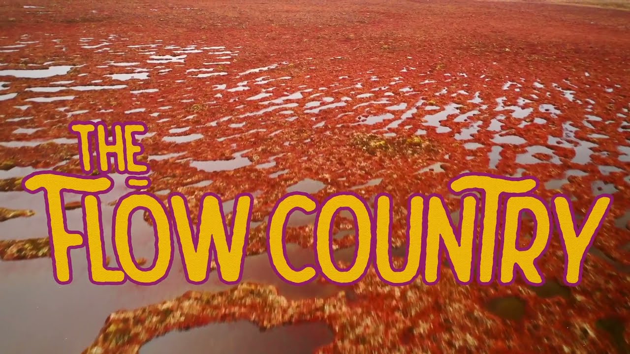 THE FLOW COUNTRY