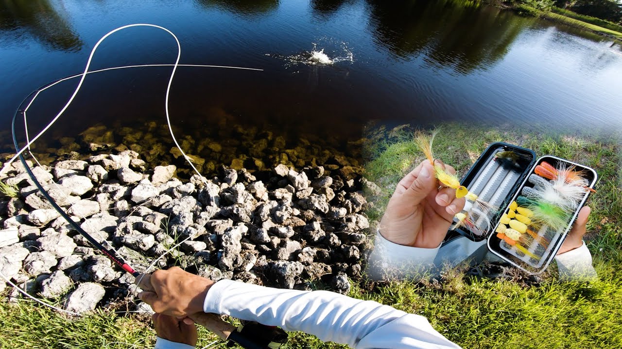 Fly Fishing poppers for Bass in Florida - CRUSHING Gurglers + Streamers
