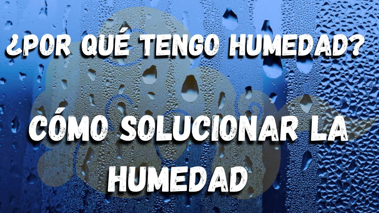 Descubre cómo combatir la humedad en tu hogar de una vez por todas