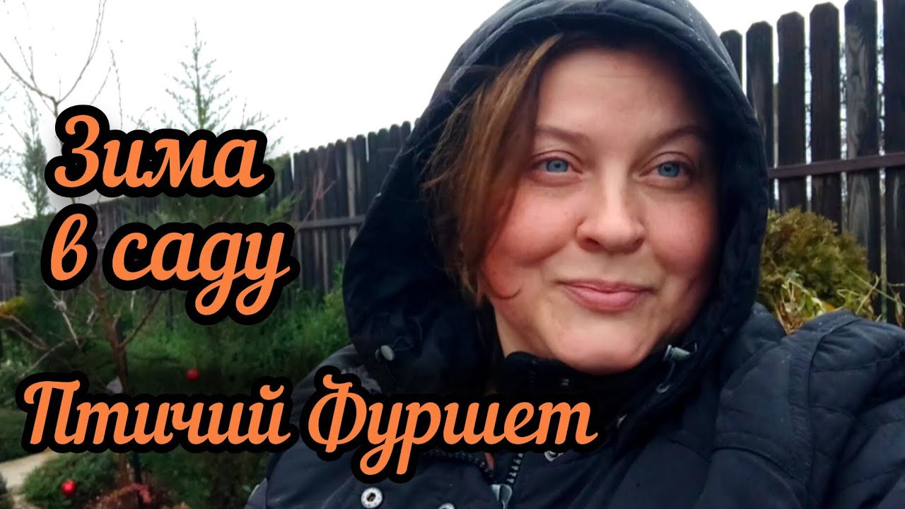 Как изготовить кормушку для пернатых? Садовый декор или польза? Забота о птицах зимой. 