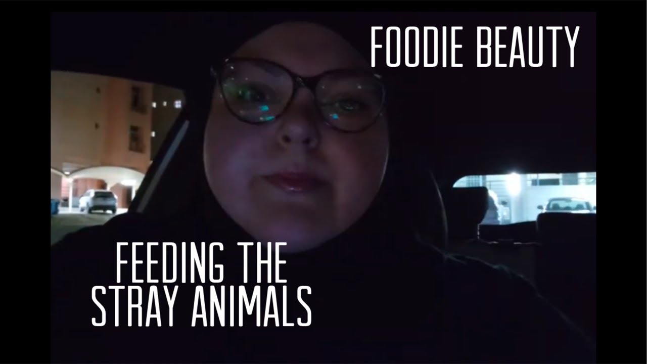 Foodie Beauty: Feeding Kuwait’s Stray Animals.