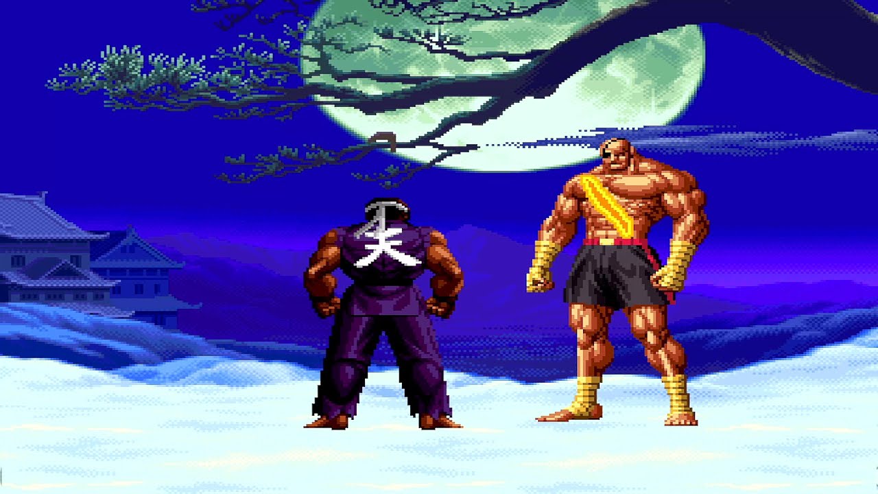 DARK RYU VS SAGAT