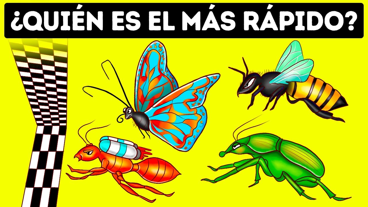 Quién es el bicho más rápido + otros datos curiosos