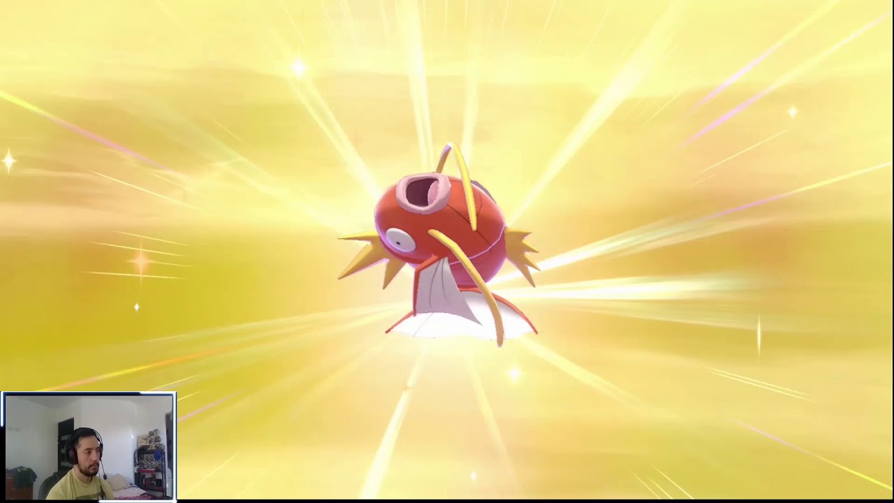 Cacer&iacute;a Shiny #1