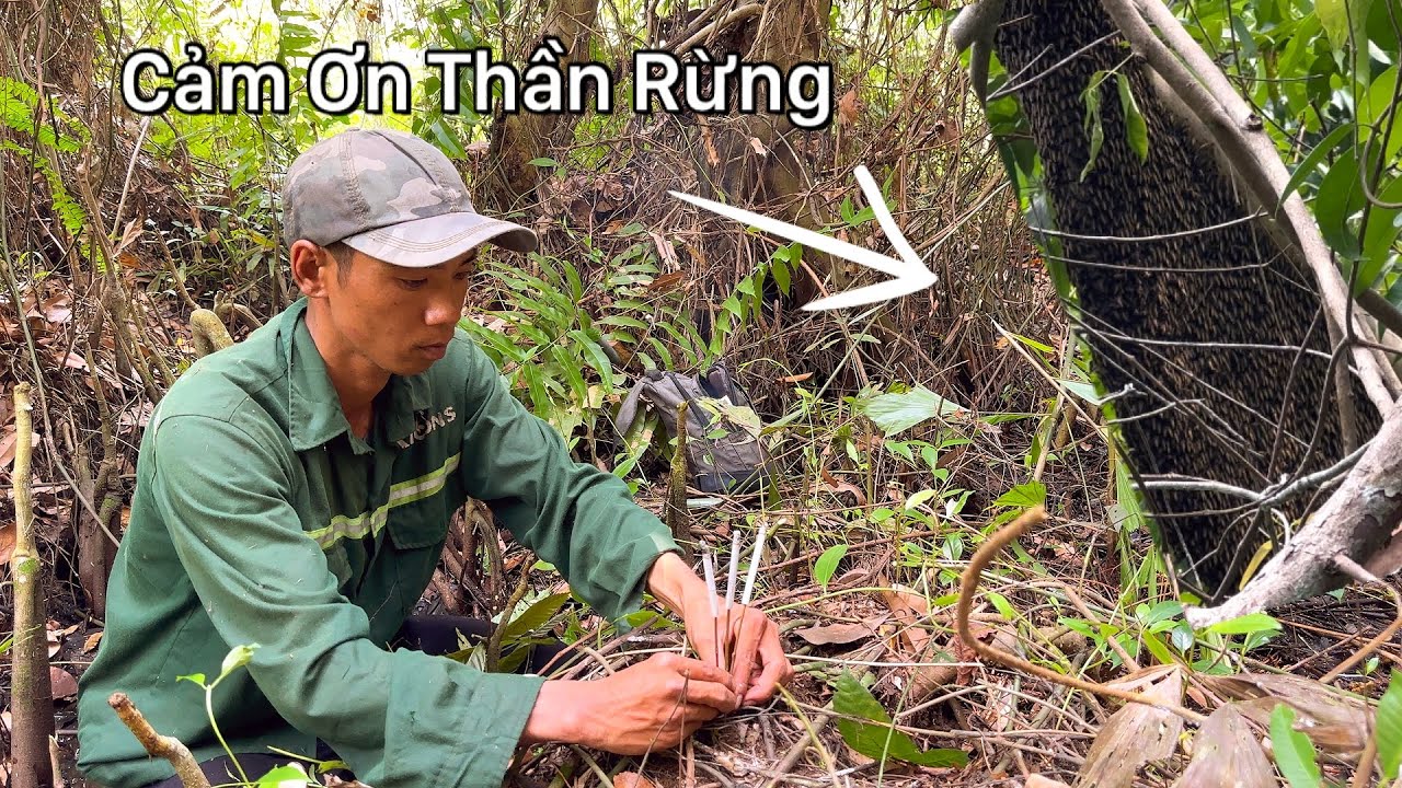 Cảm Ơn Thần Rừng Đã Cho nghề mưu sinh Hôm Nay Trúng Mánh