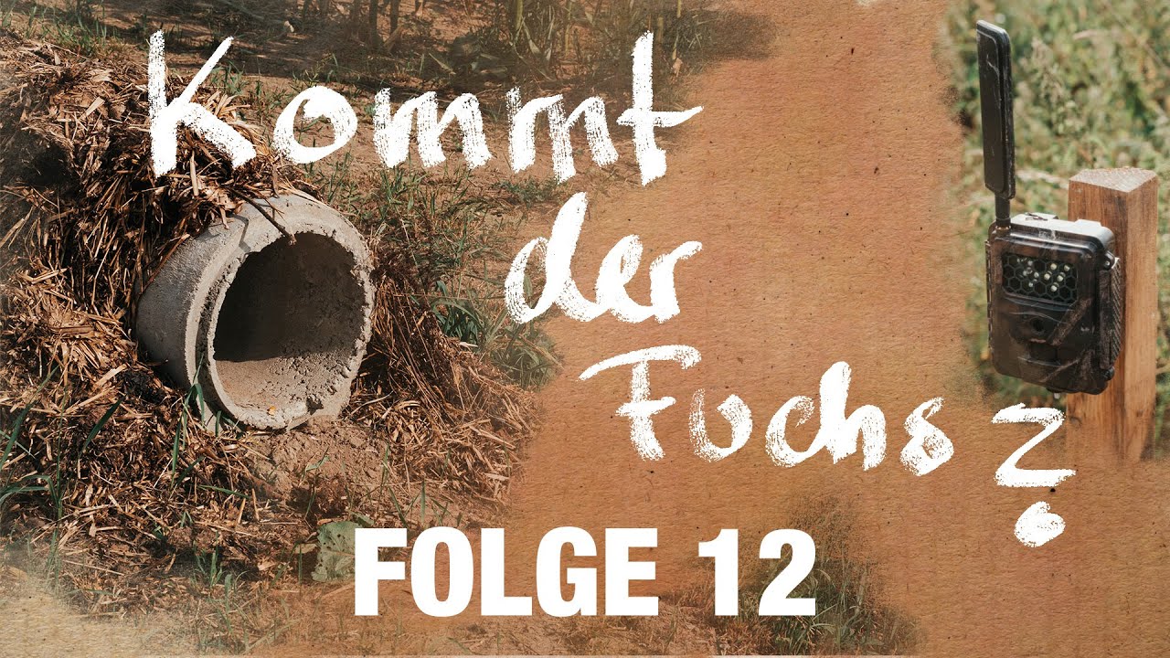 Freunde der Jagd - Folge 12 