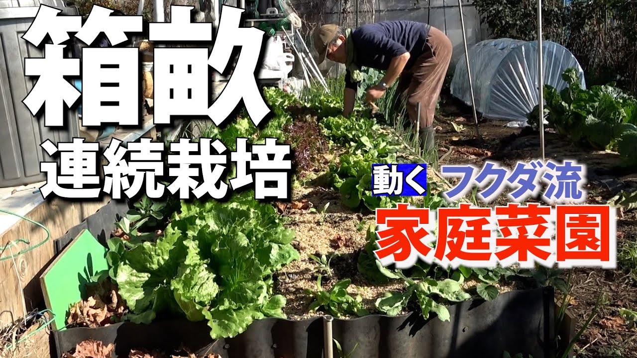 【家庭菜園】箱型畝の霜よけ　可動式ひさしで覆う