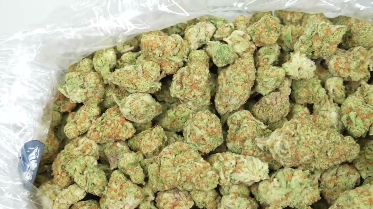 BUY THCA POUNDS ONLINE AT THE BEST PRICES