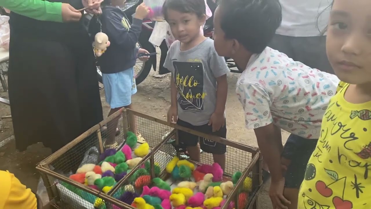 DEK IO BELI AYAM WARNA-WARNI DI PASAR : LUCU BANGETT #diaryinasio