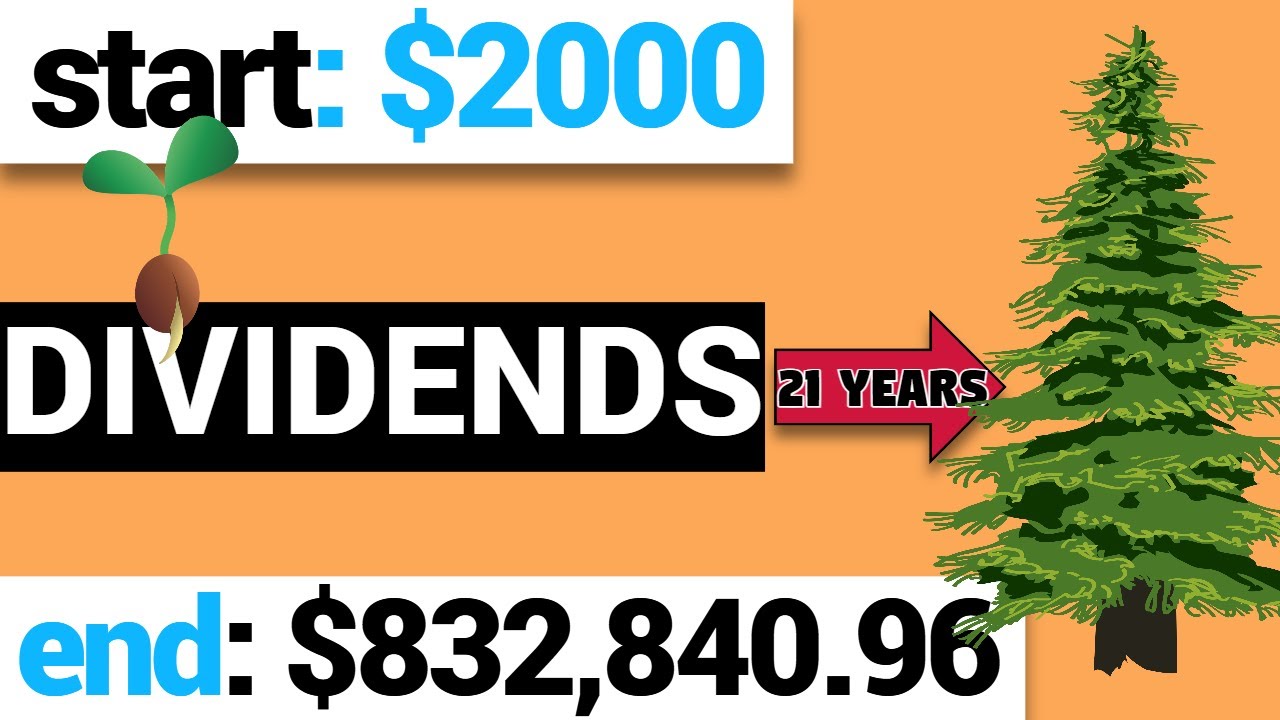 How to Dividend Invest to Retire (Why Dividend Investing is the Best)