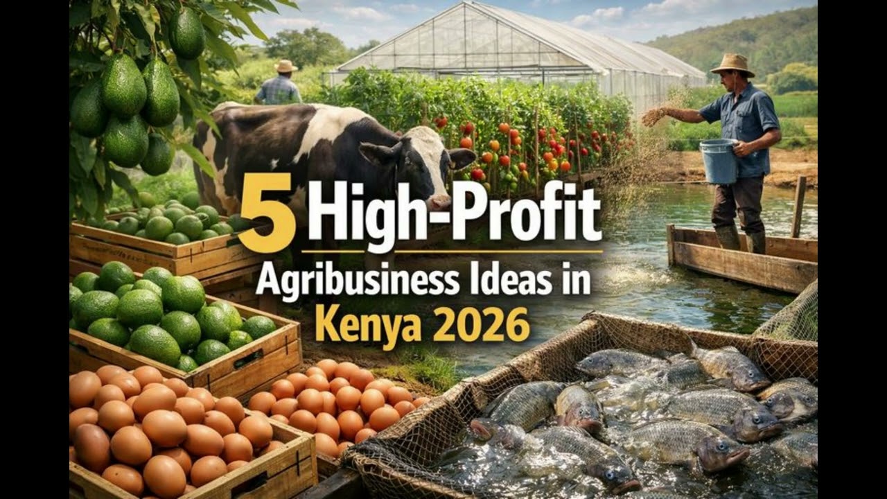 5 Agribusiness Ideas That Can Make You Millions in Kenya (2026 Guide)