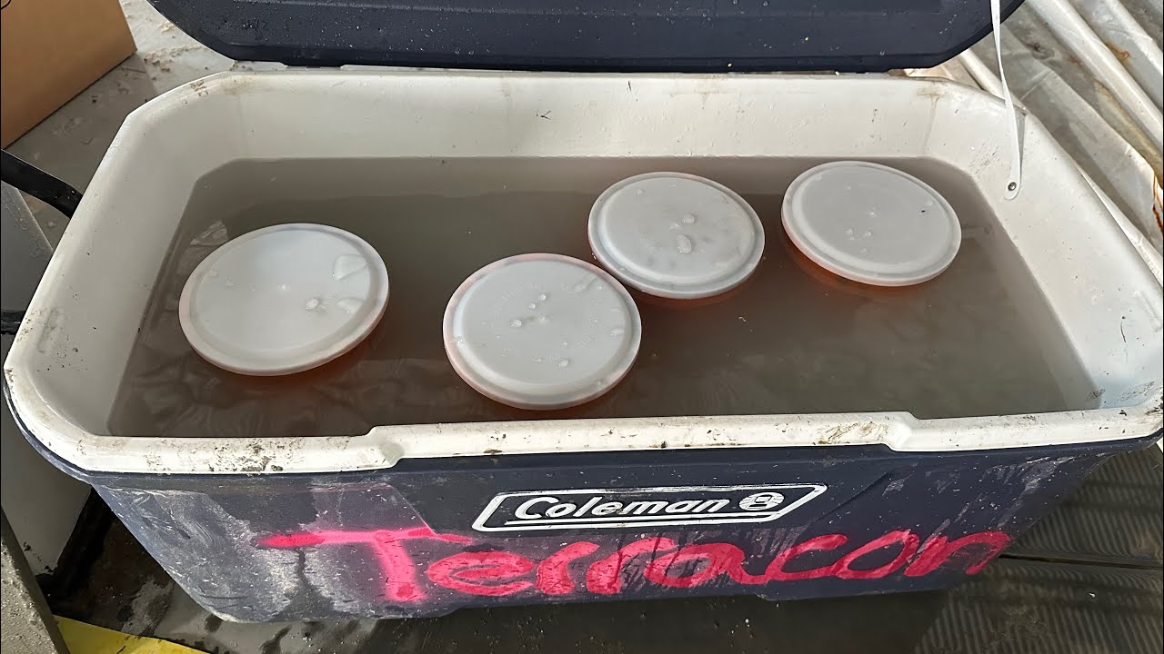 Initial Curing Experiment: 3-Day Results