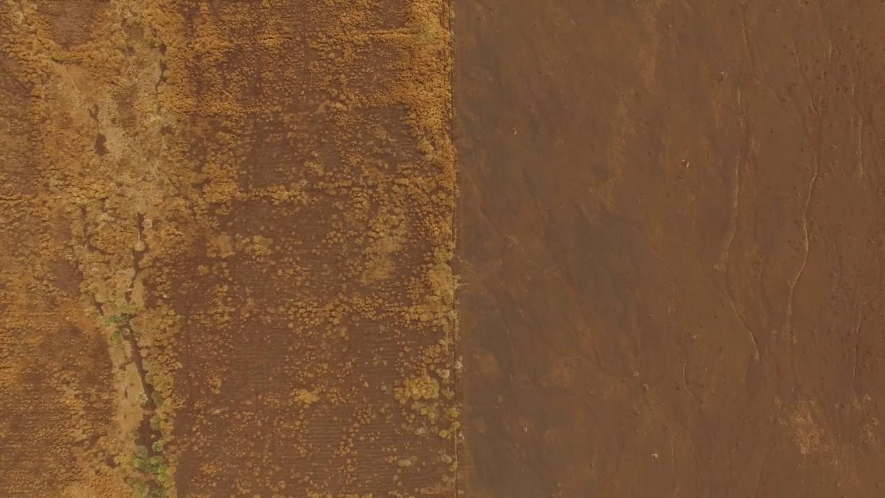 Grass Seed bank in Kuku, Kenya | Justdiggit