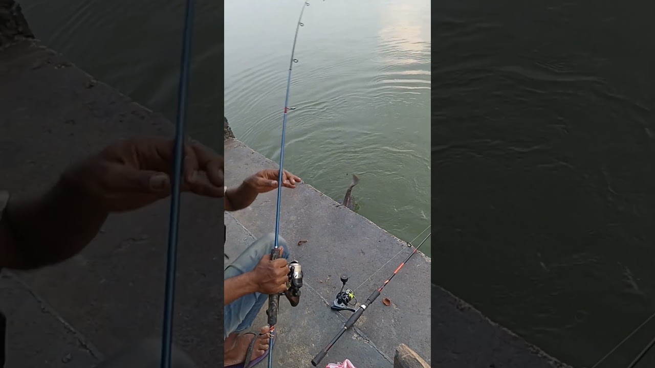 Mancing di danau sunter #shorts #mancing  #aguspakkail