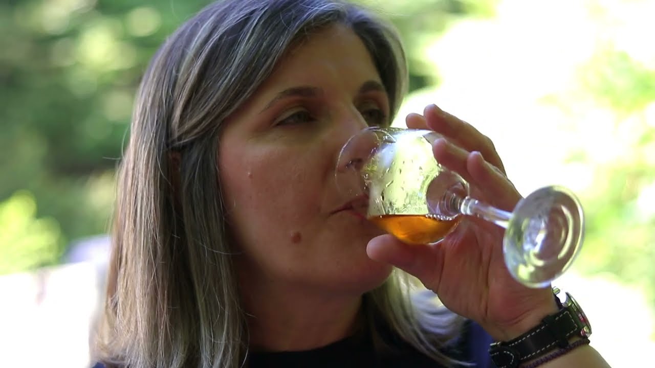 Exclusive Wine Experience in the Hidden Forests of Olympus & Pieria