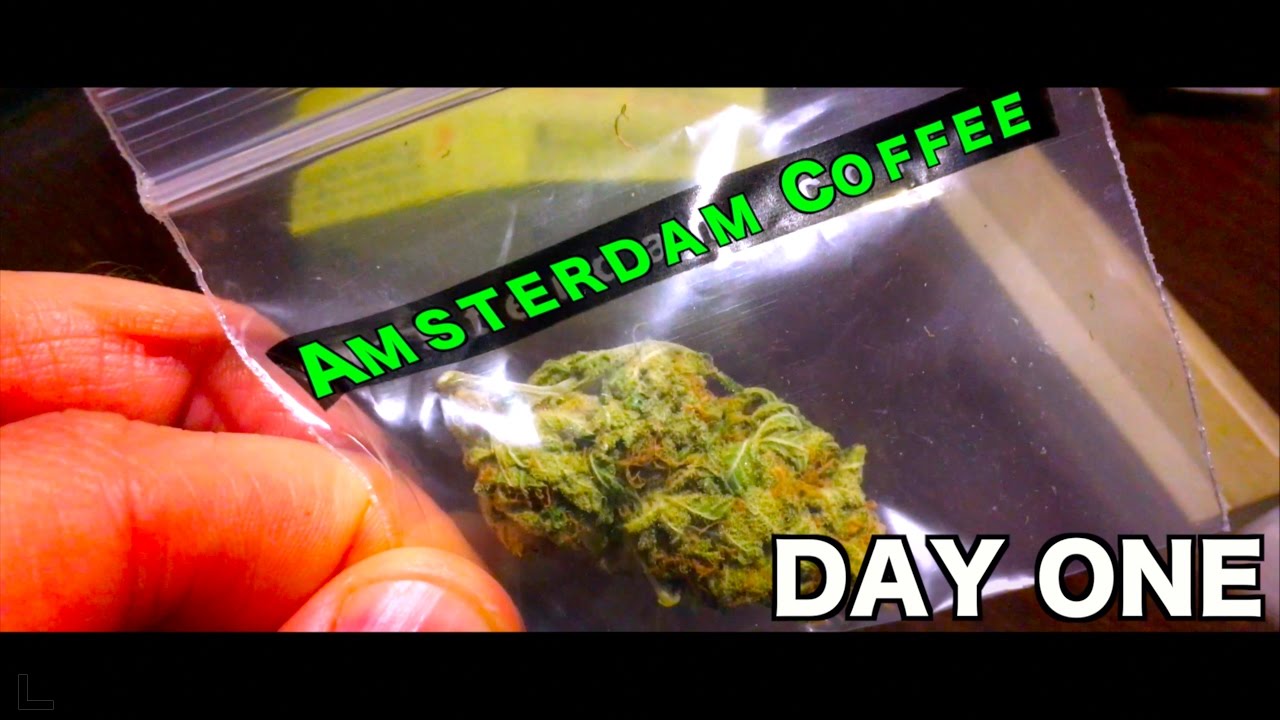 Marijuana In Coffee Shops? | THE AMSTERDAM VLOG #1
