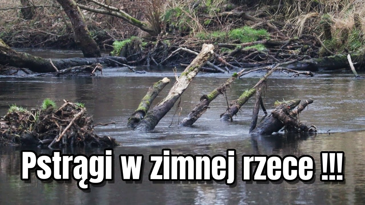 PSTRĄGI z zimnej rzeki - Zimowe wyzwanie !!!