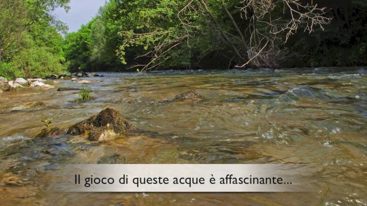 Il Fiume Meschio, uno scrigno di biodiversità