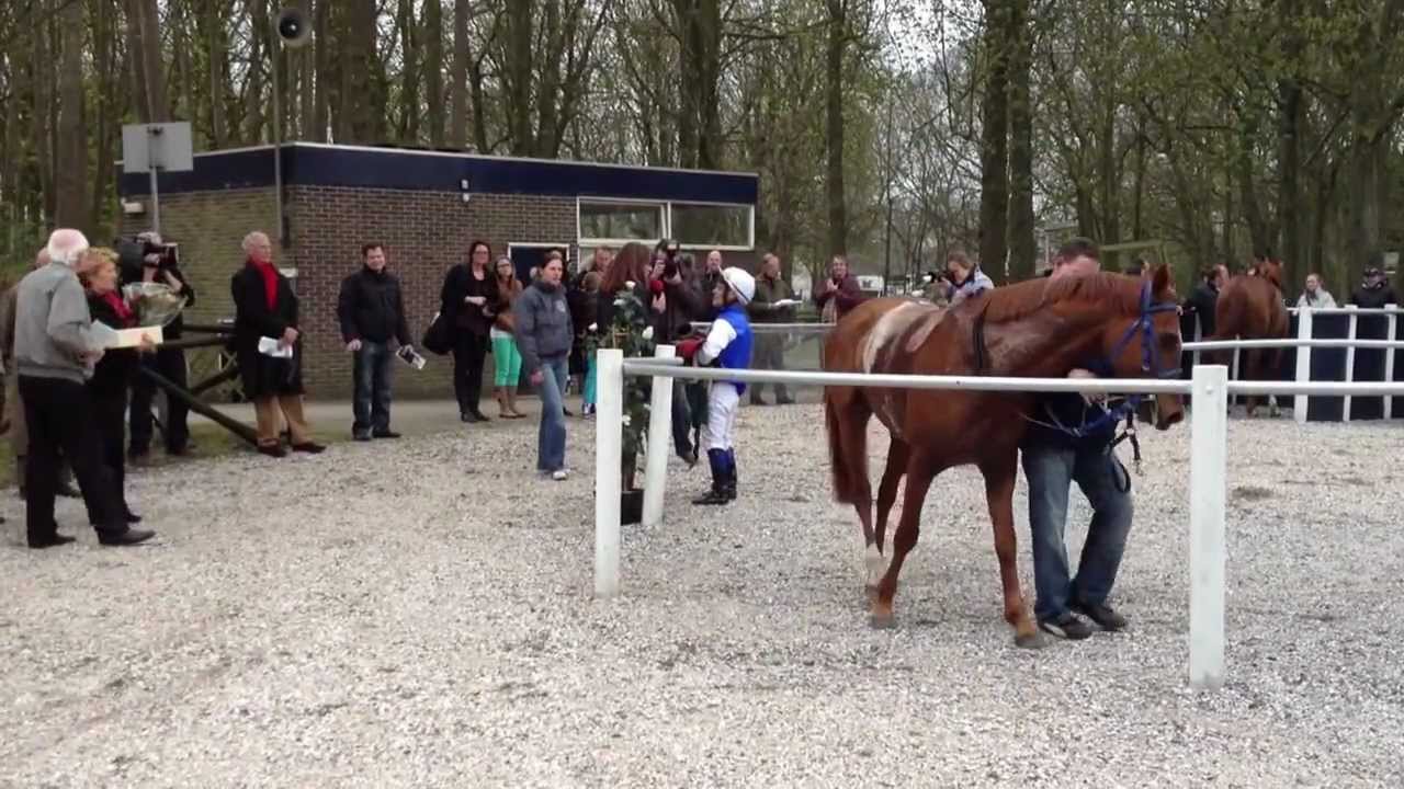 Een dagje Duindigt