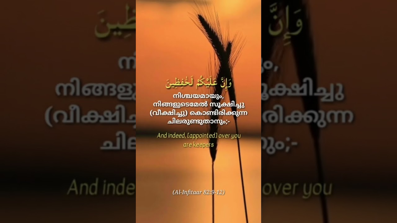 Quran Recitation #holy Quran