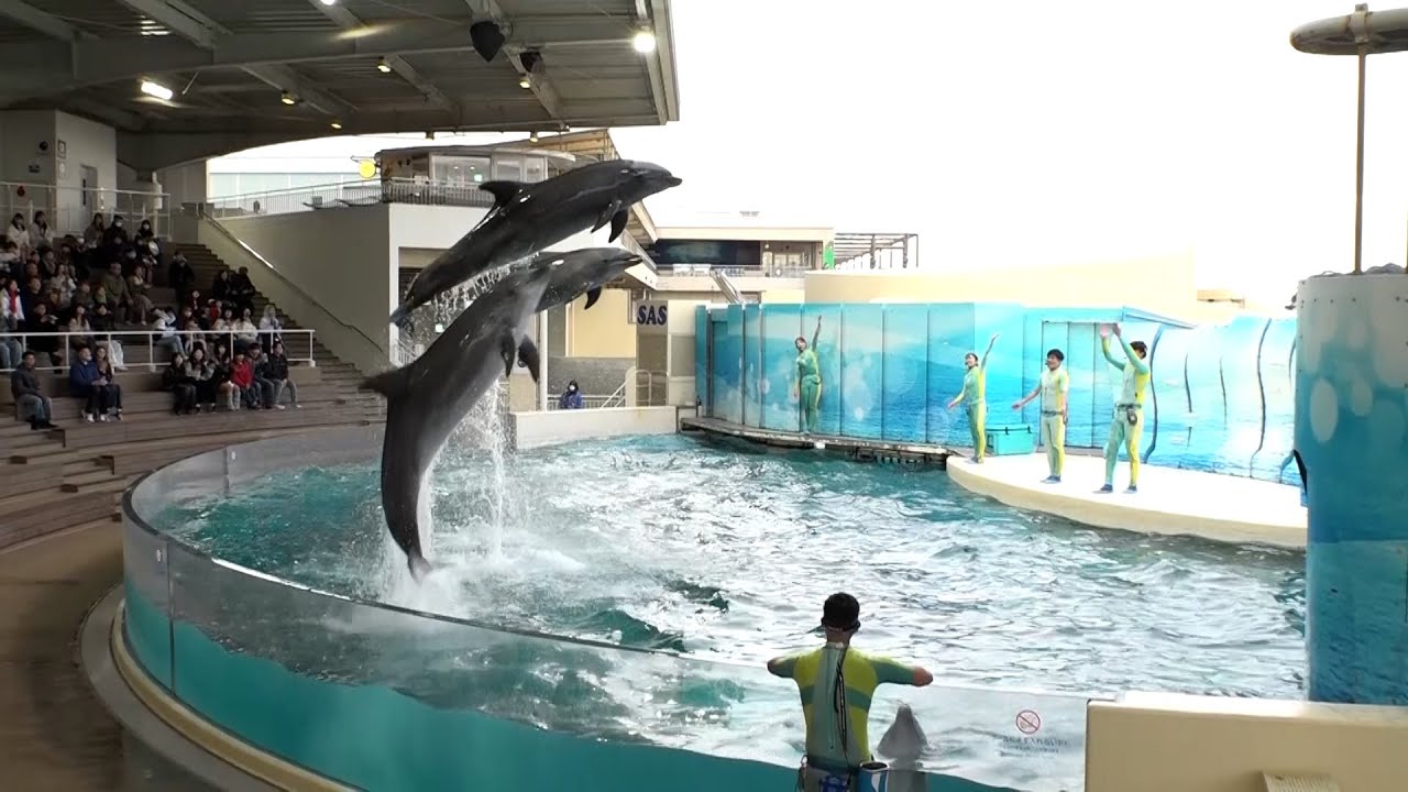Introducing The Enoshima Aquarium in Sagami Bay near Kamakura_Channel JAPAN #41/2024