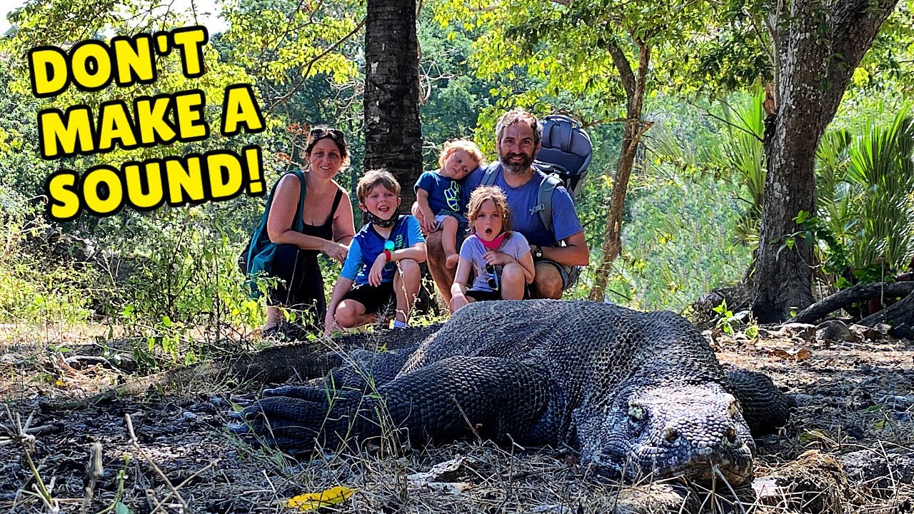 Your GUIDE to KOMODO ISLAND with KIDS | FLORES | Travel Flores with KIDS | LABUAN BAJO LIVEABOARD