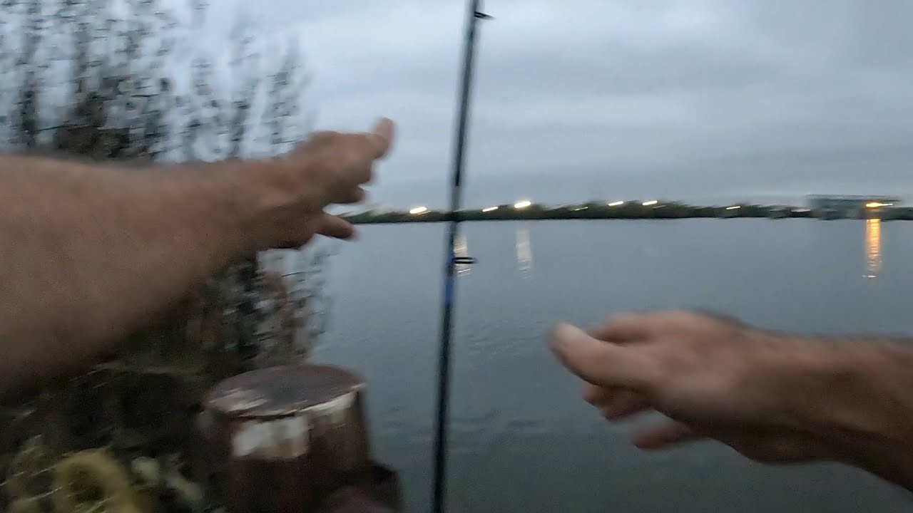 Not The Definition Of Insanity, Fishing For Catfish, Or Is It?
