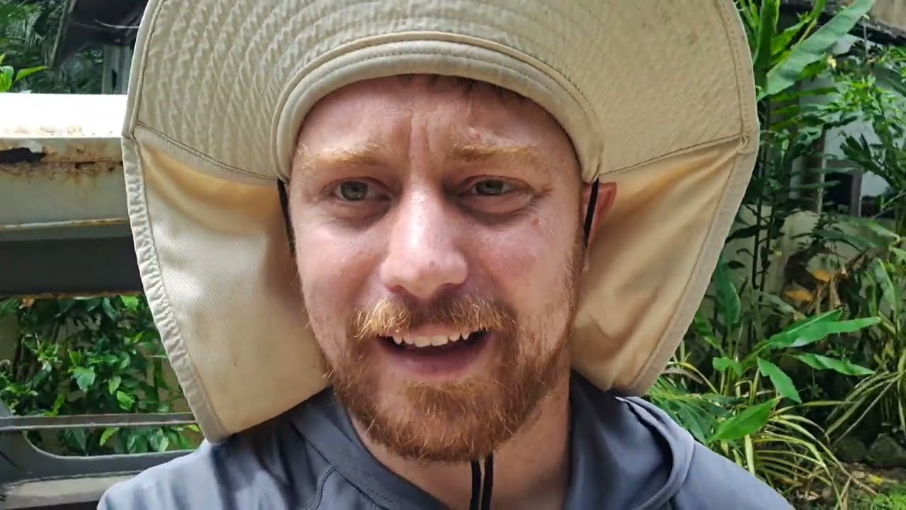 Меня ограбили... В поисках пропавших птиц