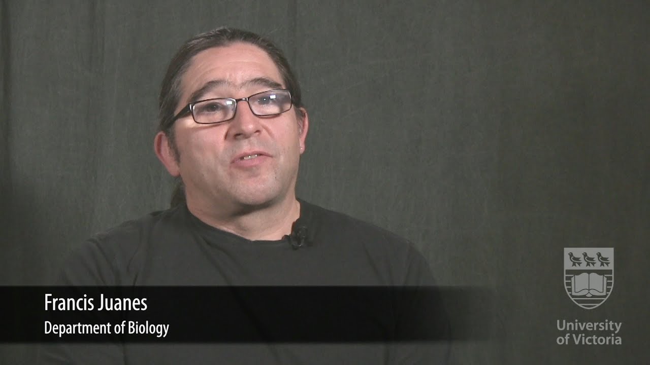 Faces of UVic Research: Francis Juanes