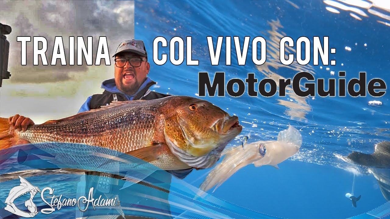Traina col vivo con Motor Guide - Tutorial di pesca  - Traina col Guido by Stefano Adami