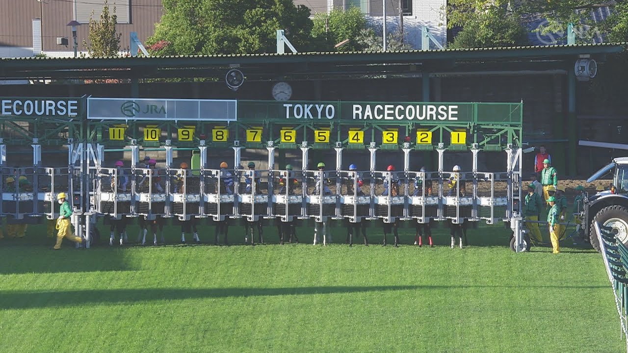 2023 TENNO SHO (Autumn) (G1) | JRA Official