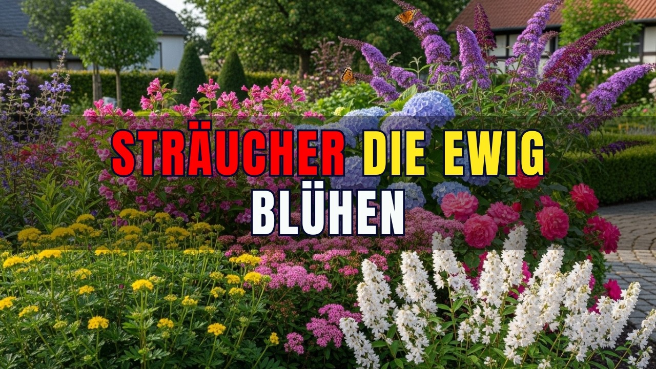 Pflanz diese 7 Str&auml;ucher EINMAL &ndash; und dein Garten bl&uuml;ht jahrelang von selbst