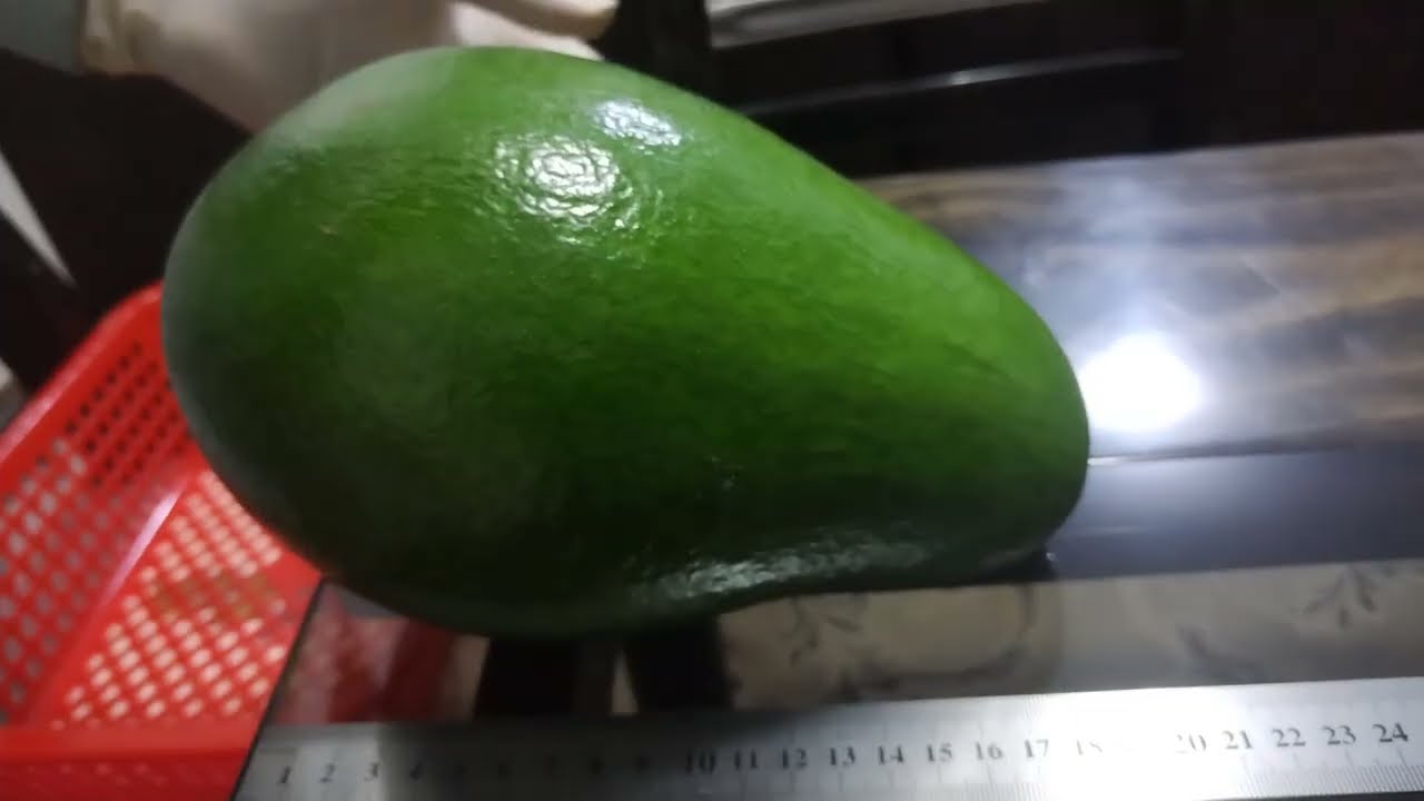 AgroExporta aEx  |  Palta LINDA, fuerte, zutano y Hass - Wilson Reyes.