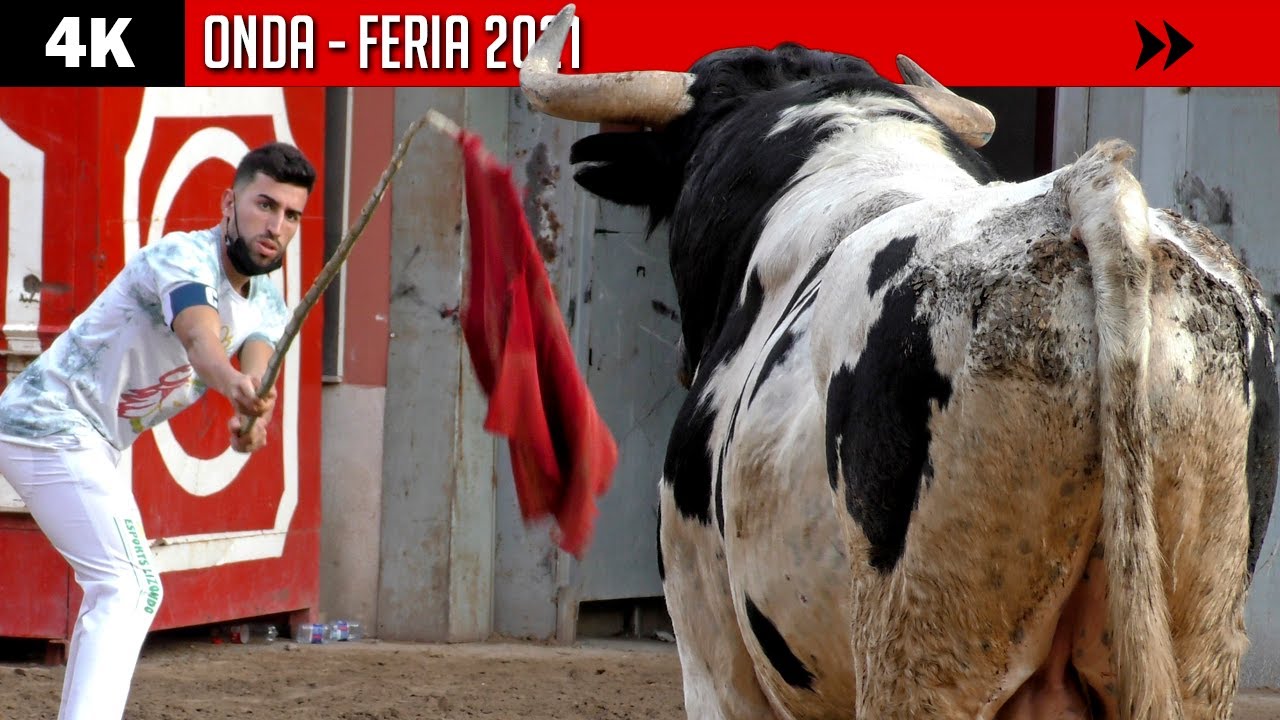 4K ▪ ONDA ▪ FERIA 2021 ▶ Miércoles (Cuadri, Dolores Aguirre, Palha, Couto Fornilhos y Bohórquez)