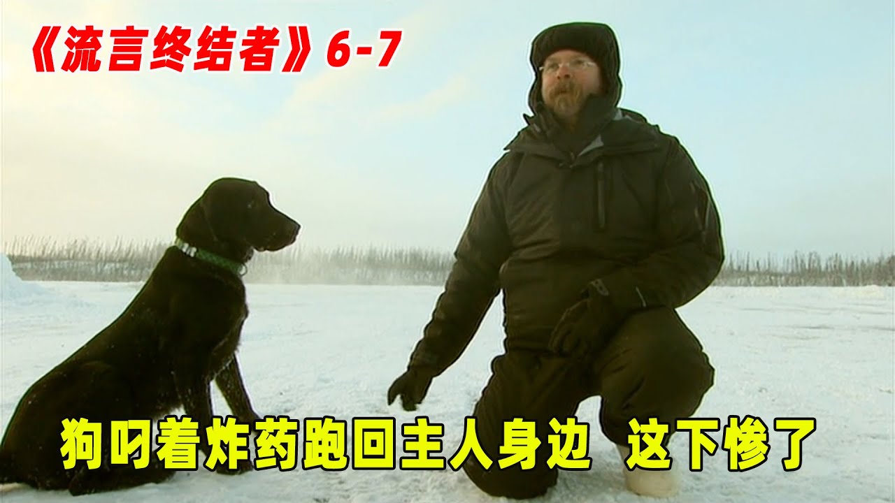 流言终结者：一群人用炸药炸冰面，没想到忠心狗狗，把炸药叼了回来！（S6E7）