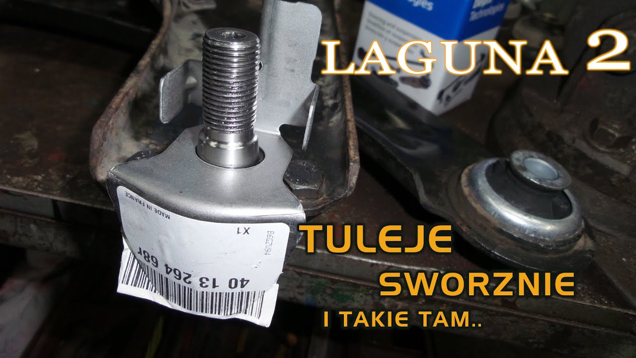 Laguna II - Tuleje, sworznie wahaczy i takie tam.. Vlog1