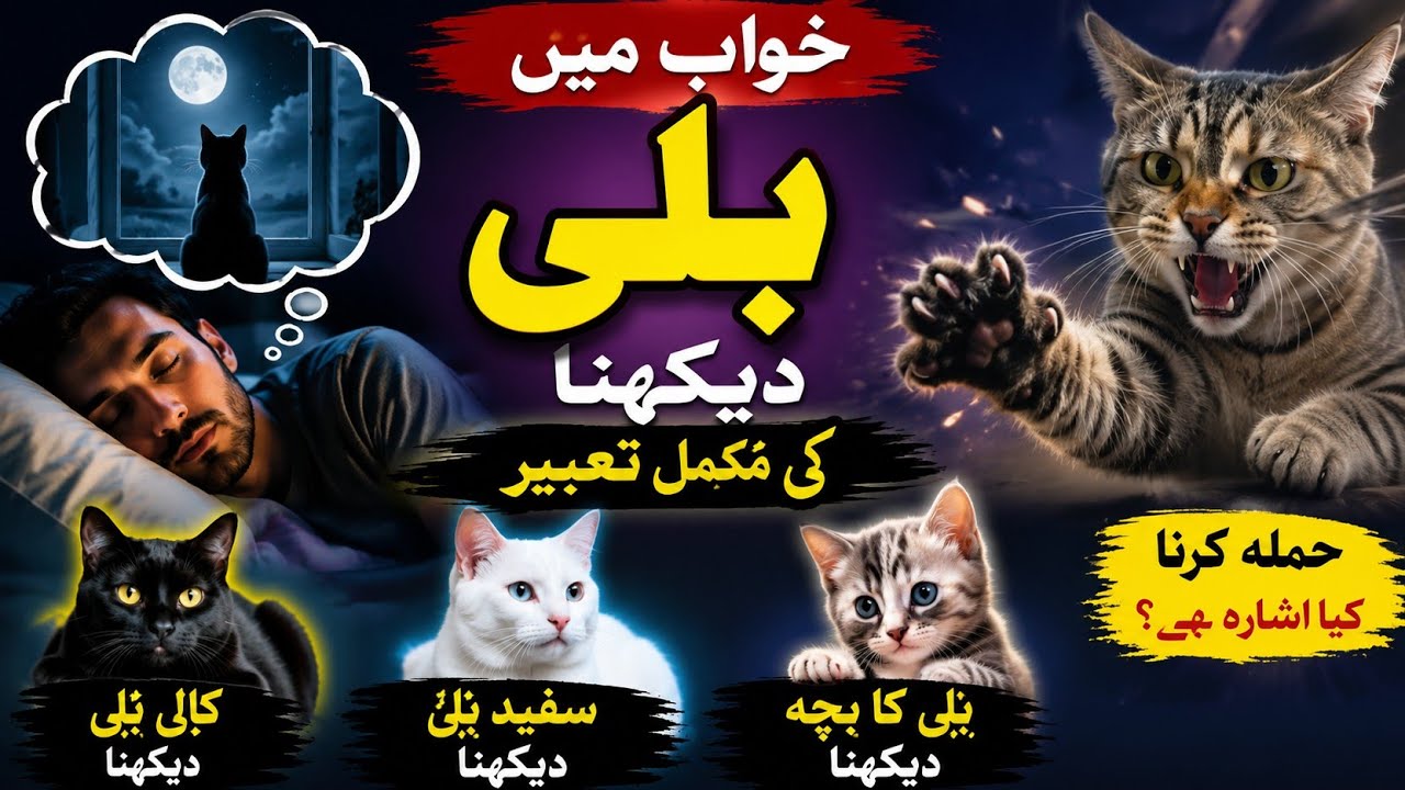 khwab mein billi ko dekhna | Khwab mein billi k bachy dekhna | Khwab mein billi ko pyar karna