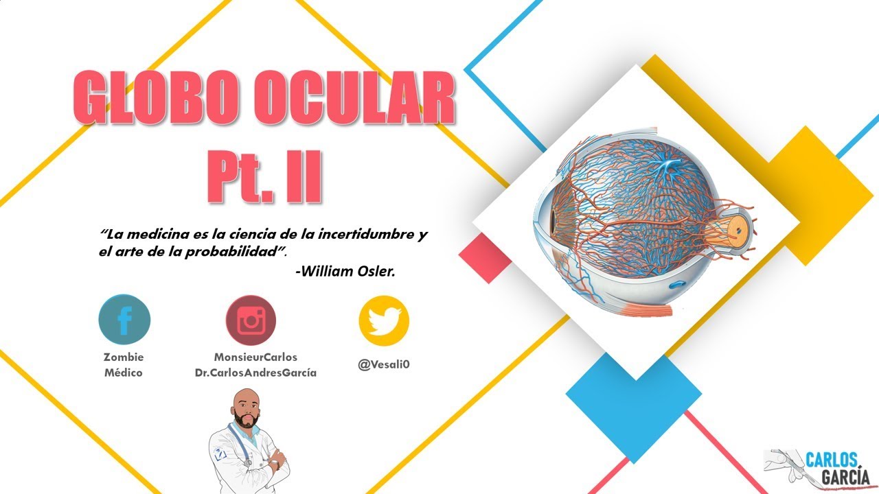 Anatomía - Globo Ocular Pt. II (Coroides, Cuerpo Ciliar, Iris y Pupila)