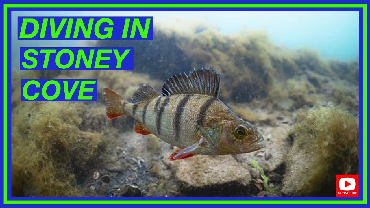 DIVING AT STONEY COVE | UK Dive Site Guide | Stoney Cove Watersports and Scuba Diving Centre