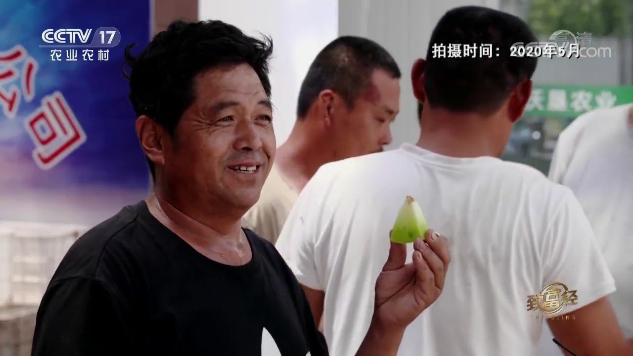 老韩选好瓜 自卖大伙夸 CCTV17 致富经 中英字幕 2020年7月3日 Old Han chooses melon Everyone selling melons  CCTV17 Prosperi