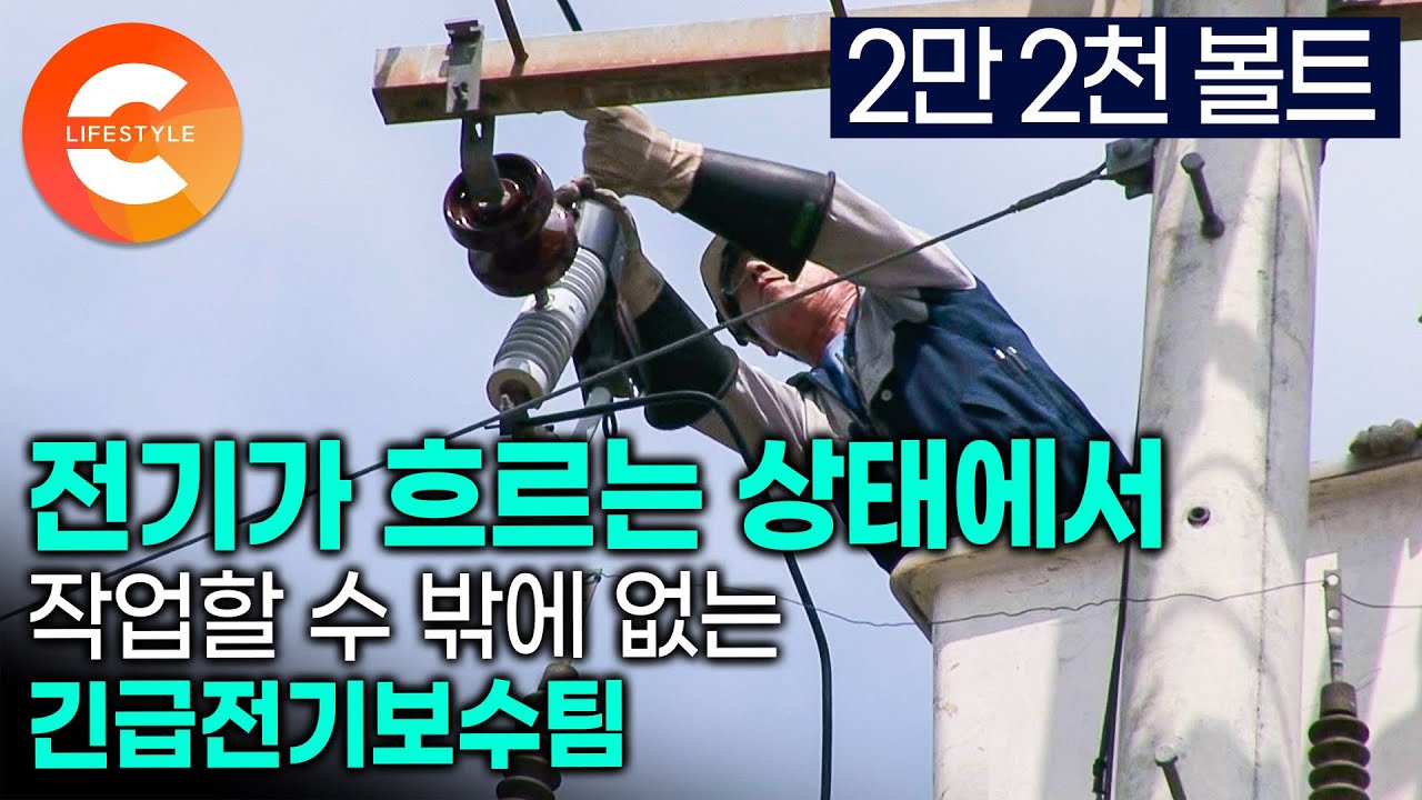 한여름 대낮에 2만 2천 볼트 전류가 흐르는 전선을 만진다. 시민들의 불편 때문에 전기를 끊은 상태에서 작업할 수 없는 긴급전기보수팀의 위험한 작업 현장ㅣ#극한직업
