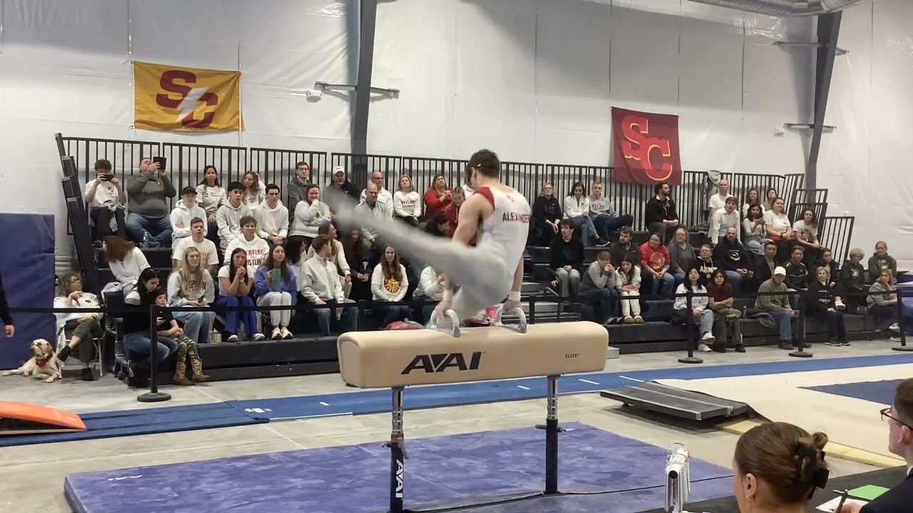 Pommel Horse